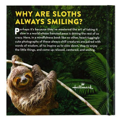 Life in the Sloth Lane: Slow Down and Smell the Hibiscus Book