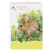 Marjolein Bastin Bunny and Flowers Birthday Card