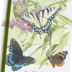 Marjolein Bastin Take Comfort in Memories Sympathy Card