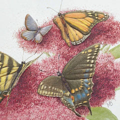 Marjolein Bastin You Are So Special Birthday Card