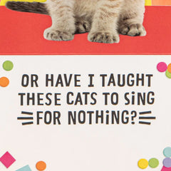 Singing Cats Funny Musical Pop-Up Birthday Card