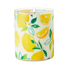 Meyer Lemon and Lemon Zest Scented 2-Wick Jar Candle, 14.5 oz.