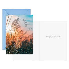 Tranquil Nature Sympathy Cards, Pack of 10