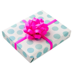 Neon Colors Bow and Ribbon 8-Pack Assortment Gift Trim Pack
