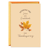 Especially Thankful for You Thanksgiving Card