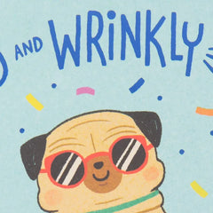 Old and Wrinkly Pug Funny Birthday Card