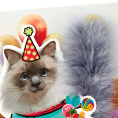 Party Cat Funny Musical Birthday Card With Motion