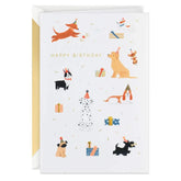 Party Pups Birthday Card