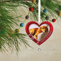 Pet Memorial Photo Frame Metal Hallmark Ornament