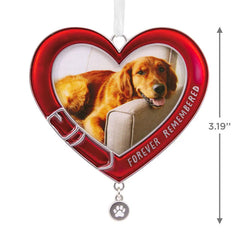 Pet Memorial Photo Frame Metal Hallmark Ornament
