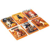 Pet Puns Assortment Boxed Halloween Cards, Pack of 48