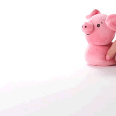 Zip-Along Pig Plush Toy
