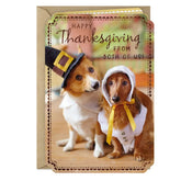 Dogs in Pilgrim Outfits Thanksgiving Card From Both