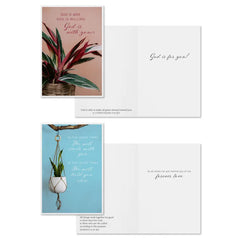 Simple Plants Assorted Religious Encouragement Cards, Box of 12