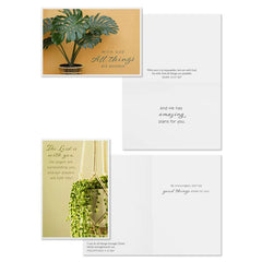 Simple Plants Assorted Religious Encouragement Cards, Box of 12