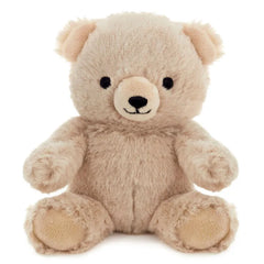 Bear Plush Gift Card Holder