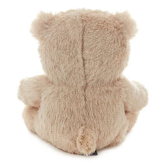Bear Plush Gift Card Holder