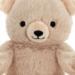 Bear Plush Gift Card Holder