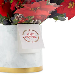 Merry Christmas Poinsettia Flower Bouquet 3D Pop-Up Christmas Card