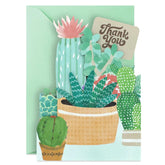 Succulents Collection Blank Thank You Notes, Pack of 8