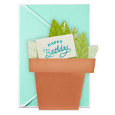 Potted Plant Paper Craft Birthday Card with Mini Card