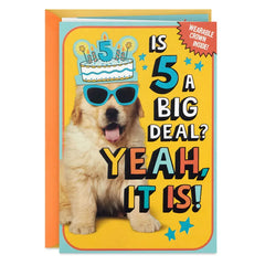 Enjoy the Royal Treatment 5th Birthday Card With Crown and Stickers