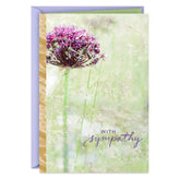 Comfort, Healing and Peace Sympathy Card
