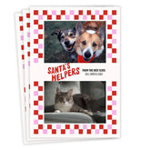 Santa's Helpers Flat Christmas Photo Card From Pet