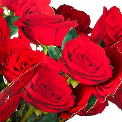 Build-a-Bouquet Red Roses Pop-Up Paper Flowers