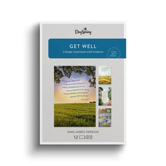 Roy Lessin Landscapes Assorted Religious Get Well Cards, Box of 12
