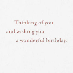 Sailboat Enjoy the Journey Birthday Card for Brother