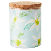 Salted Vanilla and Sandalwood Scented 2-Wick Jar Candle, 14.5 oz.