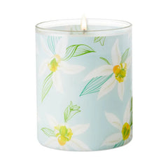 Salted Vanilla and Sandalwood Scented 2-Wick Jar Candle, 14.5 oz.
