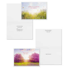 Tranquil Nature Scenes Assorted Religious Care and Concern Cards, Box of 12