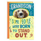 You Stand Out Pop-Up Birthday Card for Grandson