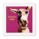 Smiling Donkey Photo Funny Coaster