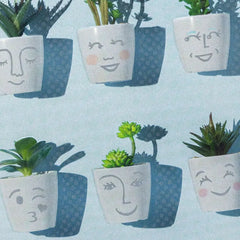Smiling Succulent Plants Blank Card