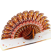 So Thankful Turkey 3D Pop-Up Thanksgiving Card