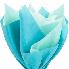 Solid Turquoise/Mint 2-Pack Tissue Paper, 6 sheets