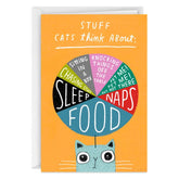 Stuff Cats Think About Pie Chart Funny Blank Card