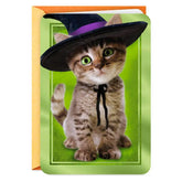 Tabby Cat in Witch Hat Halloween Card