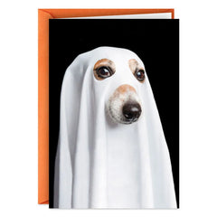 Things That Go Bark in the Night Funny Halloween Card