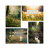 Tony Evans Assorted Religious Birthday Cards, Box of 12