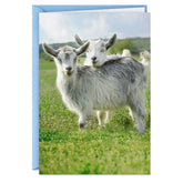 Crazy Kids in Love Funny Anniversary Card