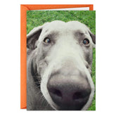 You Don't Smell Old Funny Birthday Card