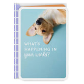 What's Happening in Your World Blank Card