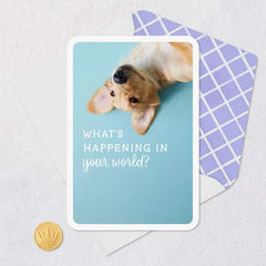 What's Happening in Your World Blank Card