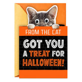 Mice Treats Funny Halloween Card from Cat