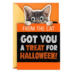 Mice Treats Funny Halloween Card from Cat