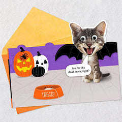 Mice Treats Funny Halloween Card from Cat